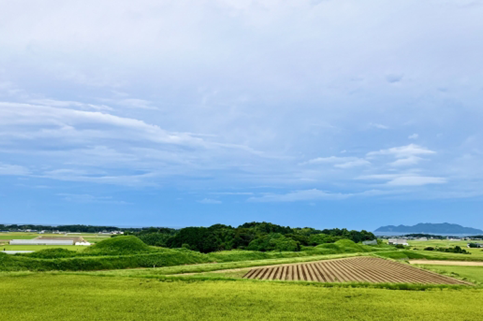 税務視点から山林を見つめるの画像